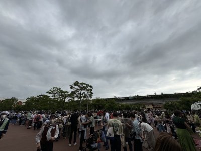 IMG_6806.jpeg