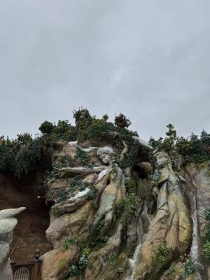 IMG_6839.jpeg