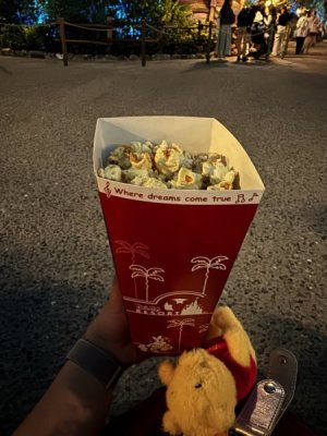 IMG_7393.jpeg
